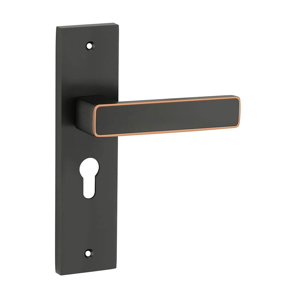 IPSA Clay Iris Handle Series on 8" Plate CYS Lockset with 60mm Both Side Key - Finish BRG